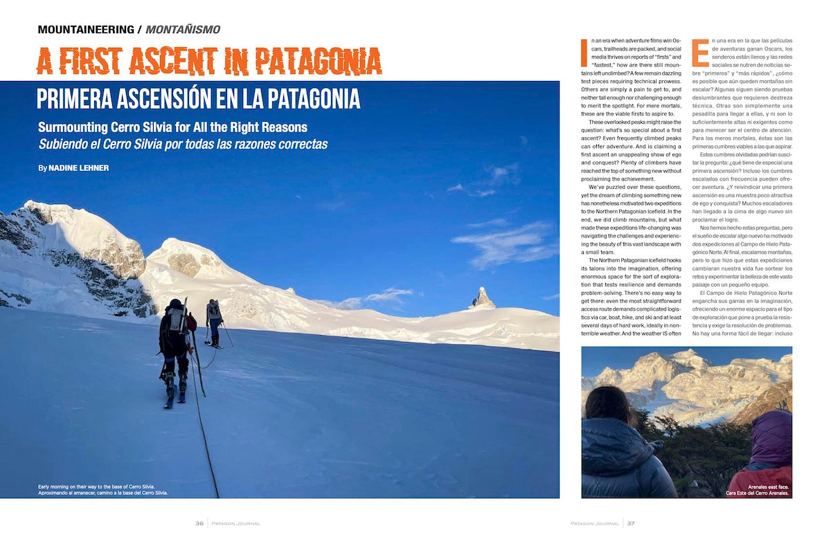 Patagon Journal #26