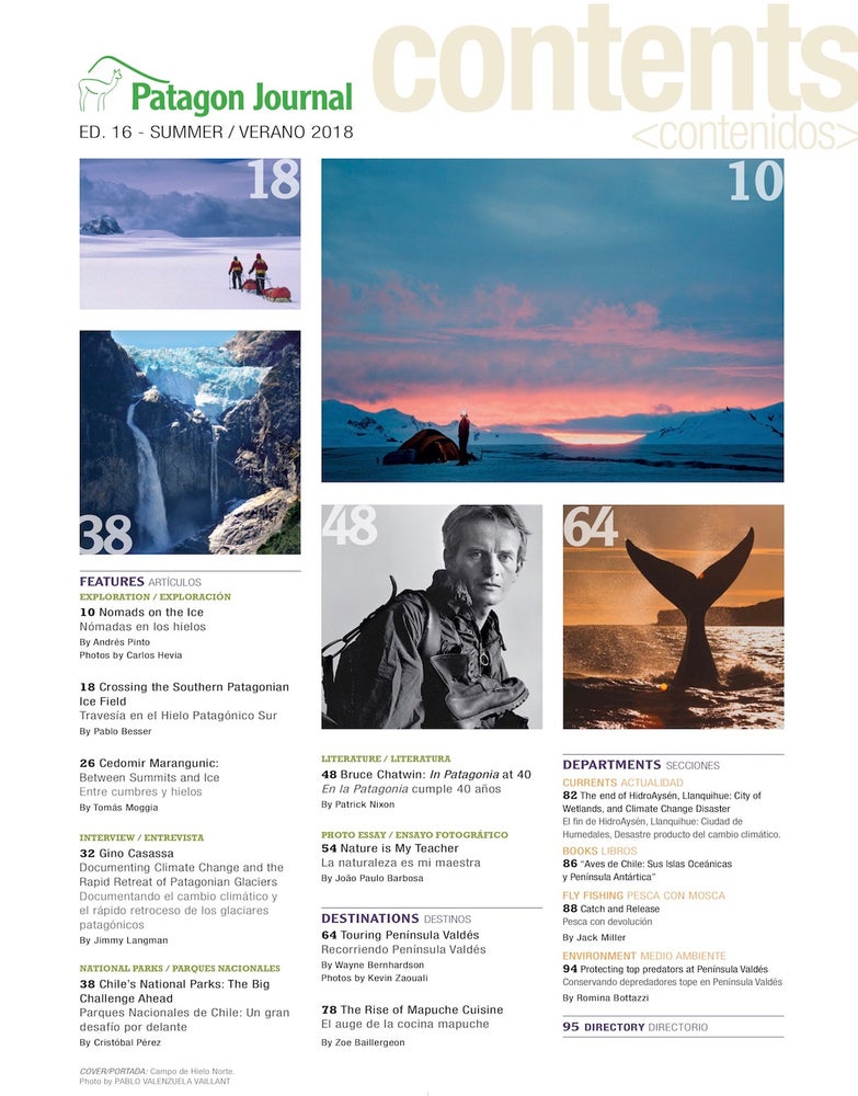 Patagon Journal #16