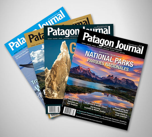 4 back issues