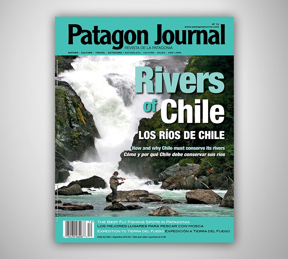 Patagon Journal #12