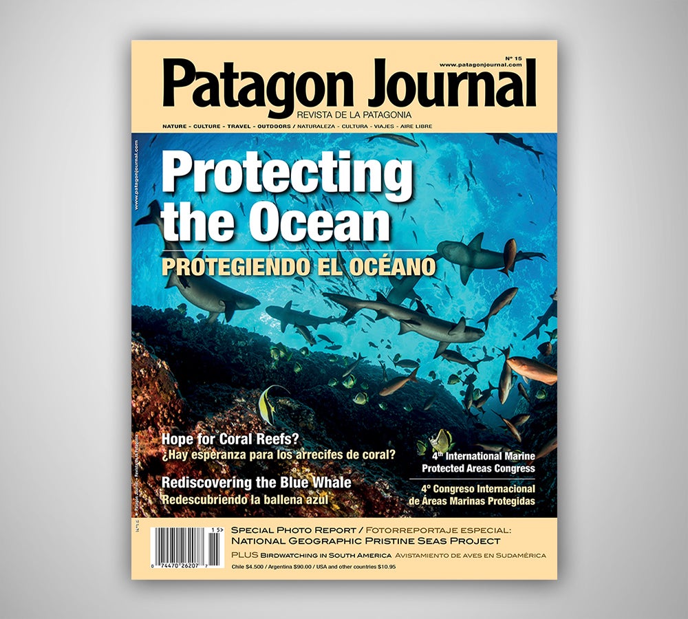 Patagon Journal #15
