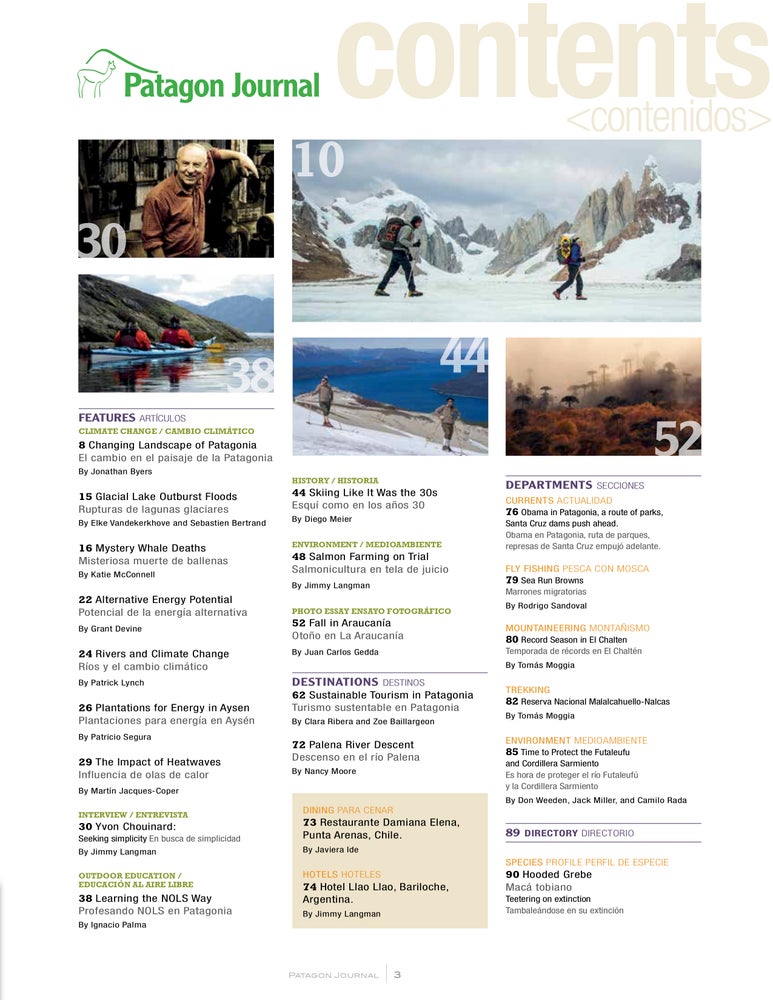 Patagon Journal #11