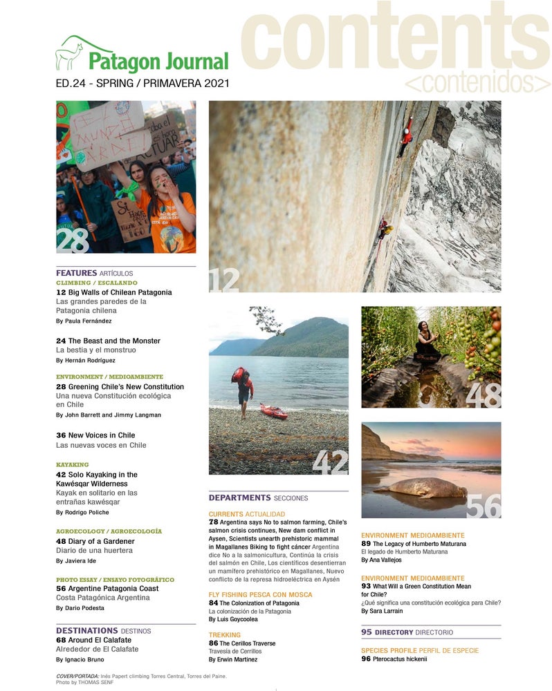 Patagon Journal #24