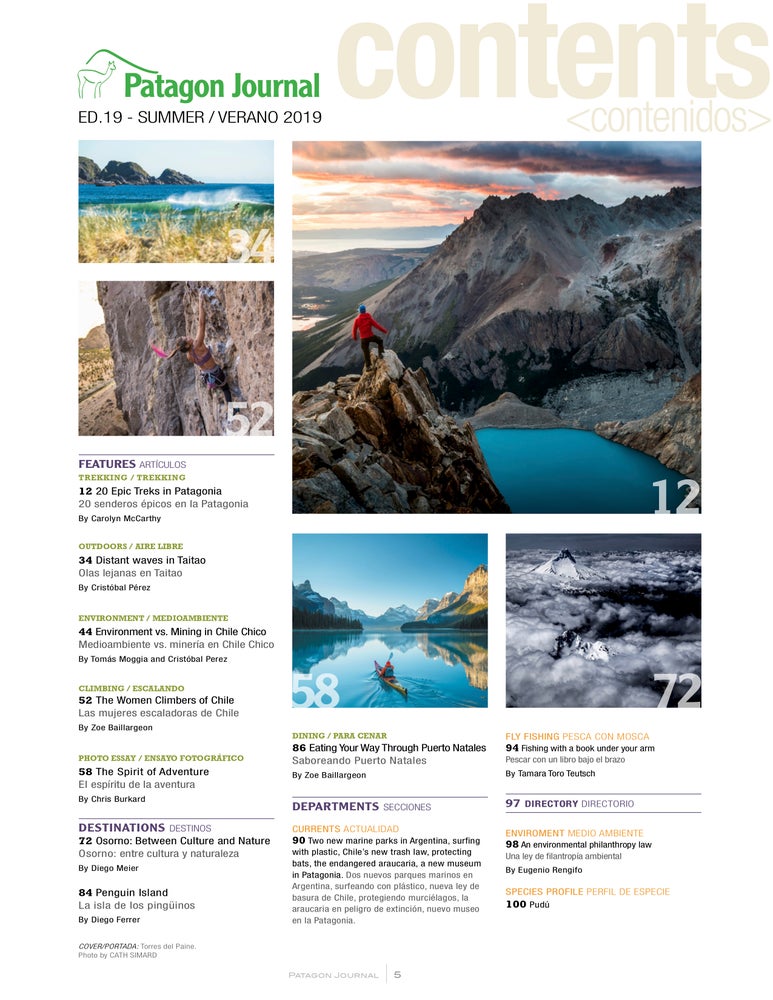 Patagon Journal #19