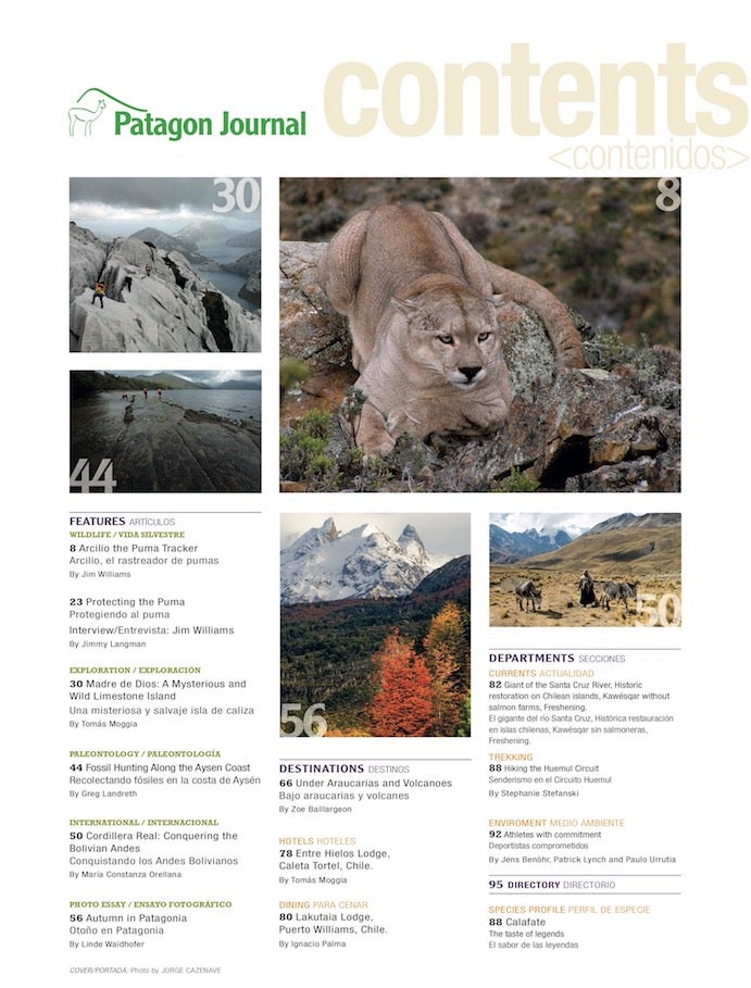 Patagon Journal #17