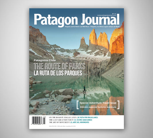 Patagon Journal #31