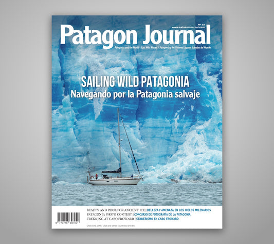 Patagon Journal #32