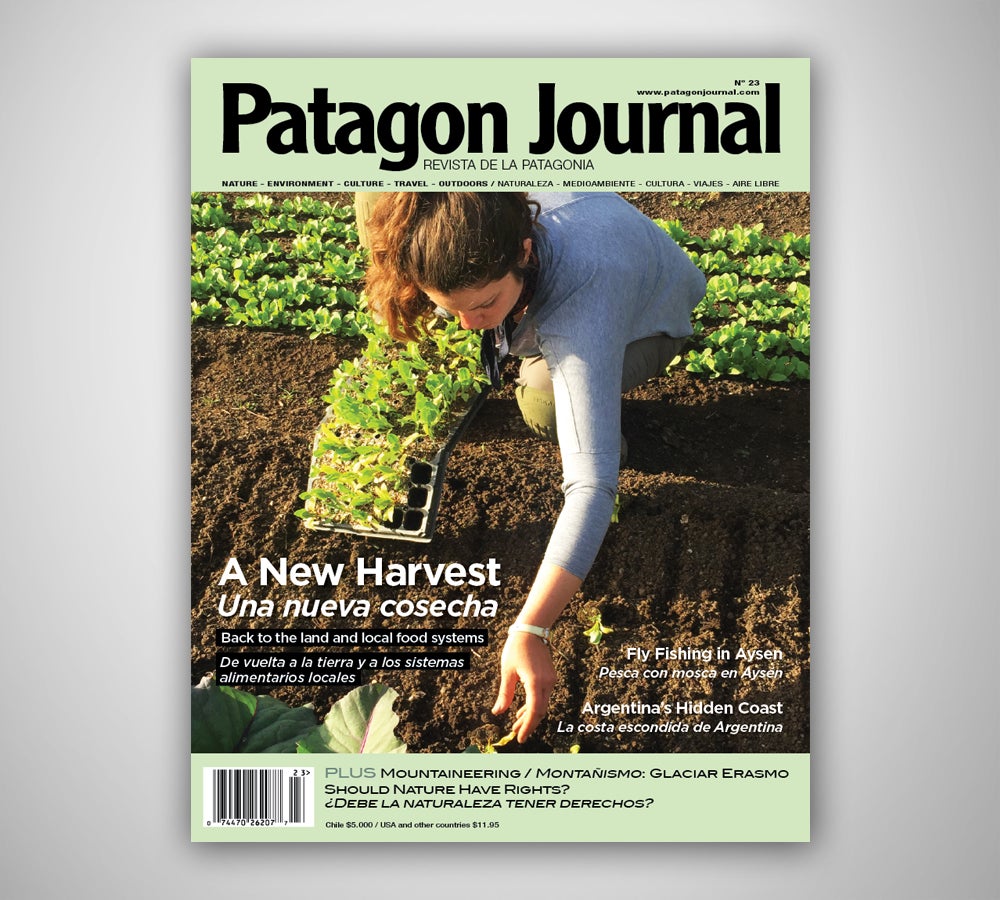 Patagon Journal #23