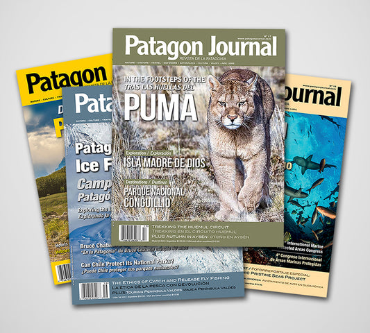 Patagon Journal Gift Subscription