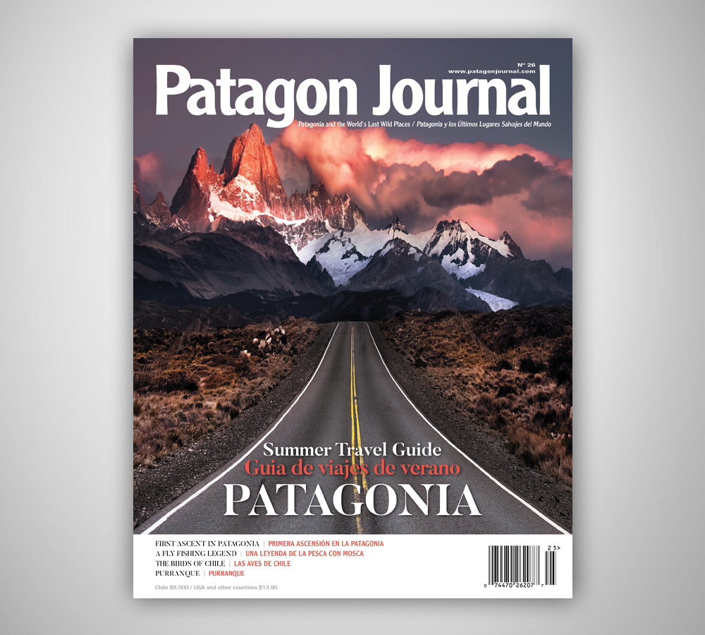 Patagon Journal #26